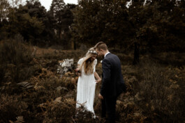 wholehearted weddings