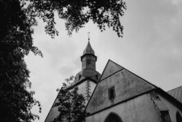 wholehearted weddings