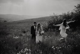 wholehearted weddings