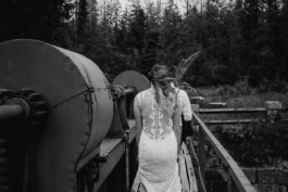 wholehearted weddings