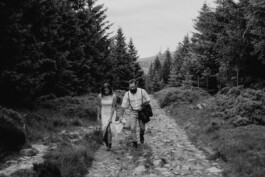 wholehearted weddings