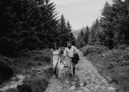 wholehearted weddings