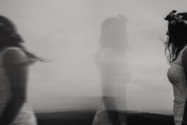 wholehearted weddings